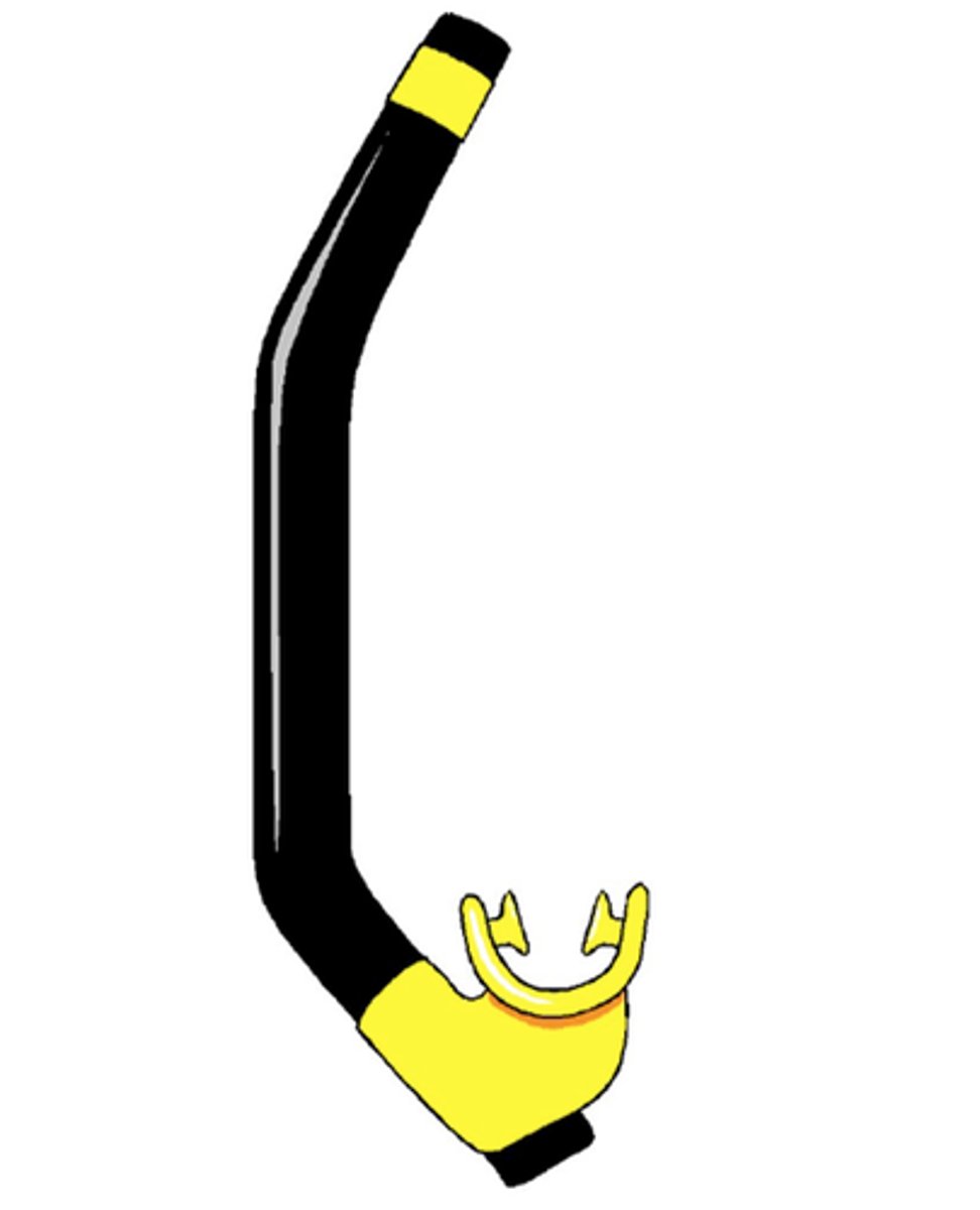 <p>mask and snorkel</p>