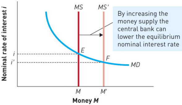 <ul><li><p><span>Can lower the nominal interest rate by increasing the money supply</span></p></li><li><p><span>For the given money demand curve, an increase in the money supply from MS to MS’ shifts the equilibrium point in the money market from E to F, lowering the nominal interest rate from i to i’</span></p></li></ul><p></p>