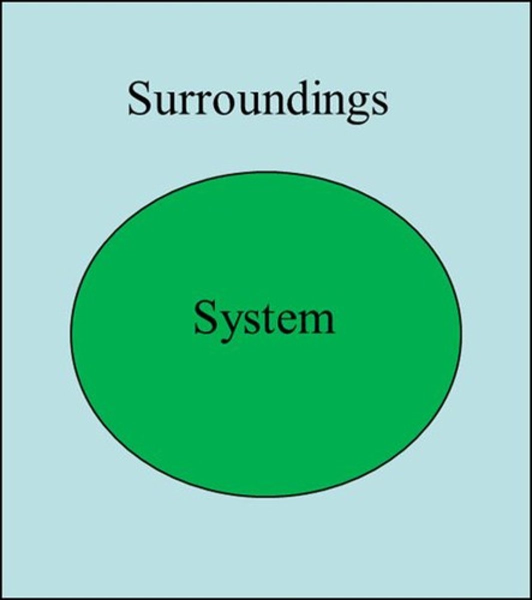 <p>The area or location under study.</p>