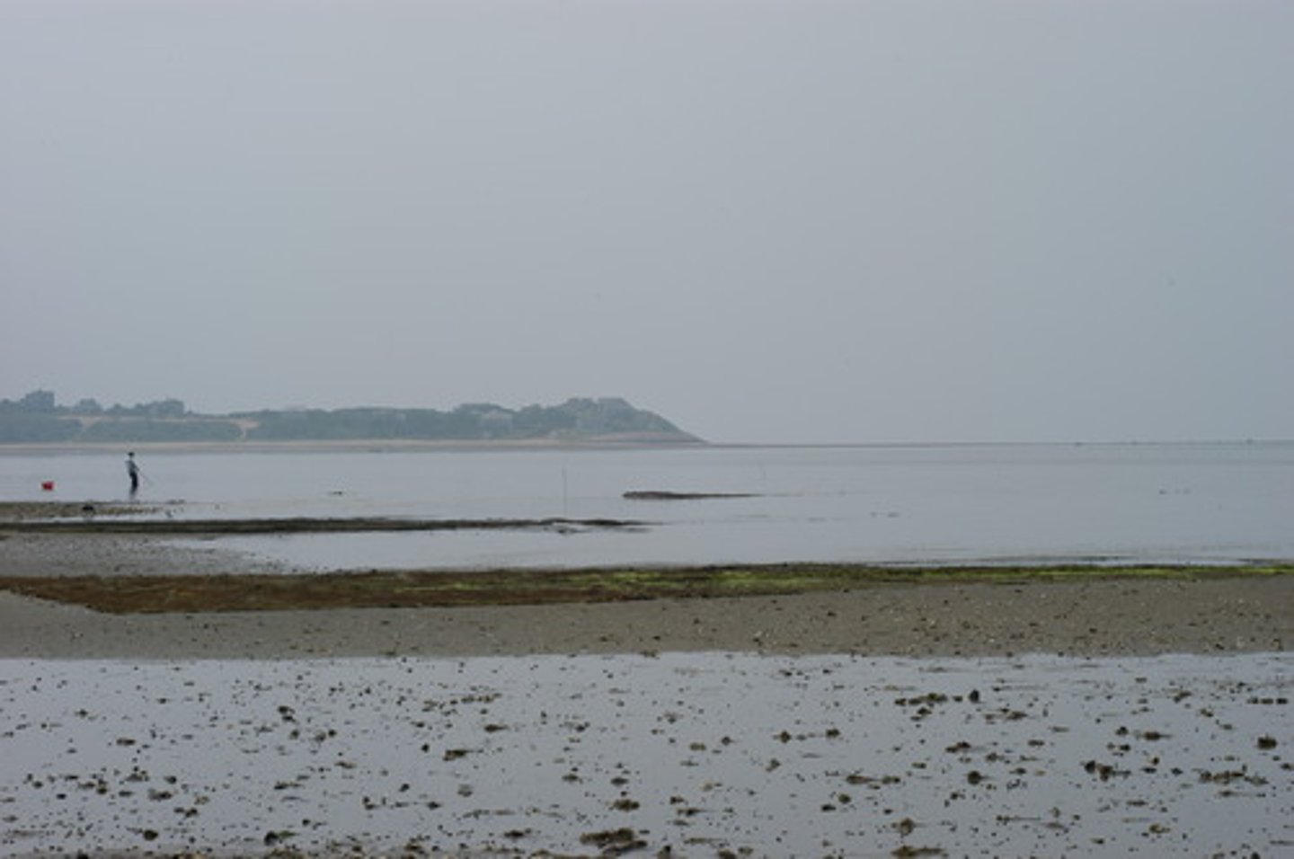 <p>An area of estuary that is exposed at low tide and covered at high tide.</p>