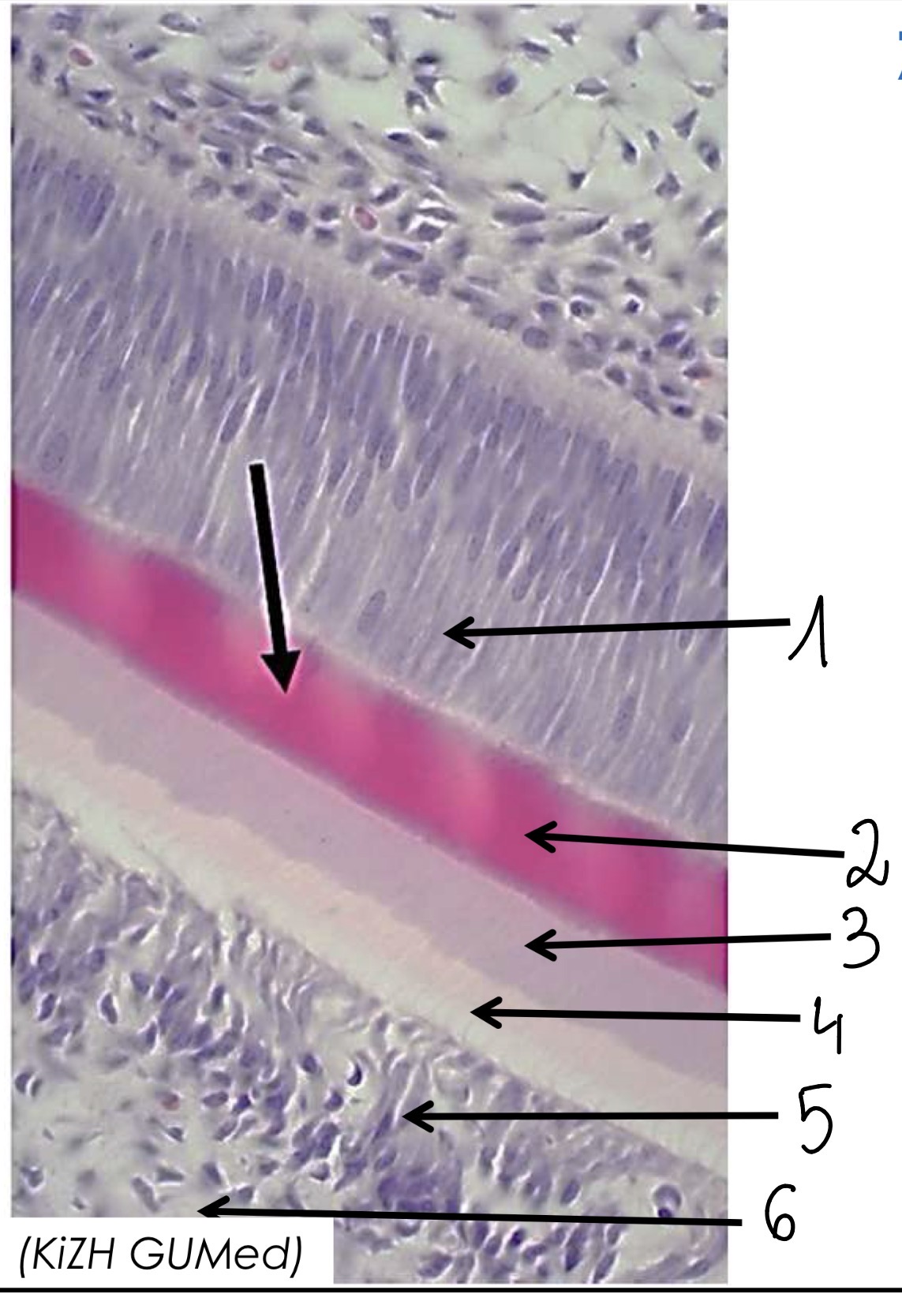 <p>2</p>