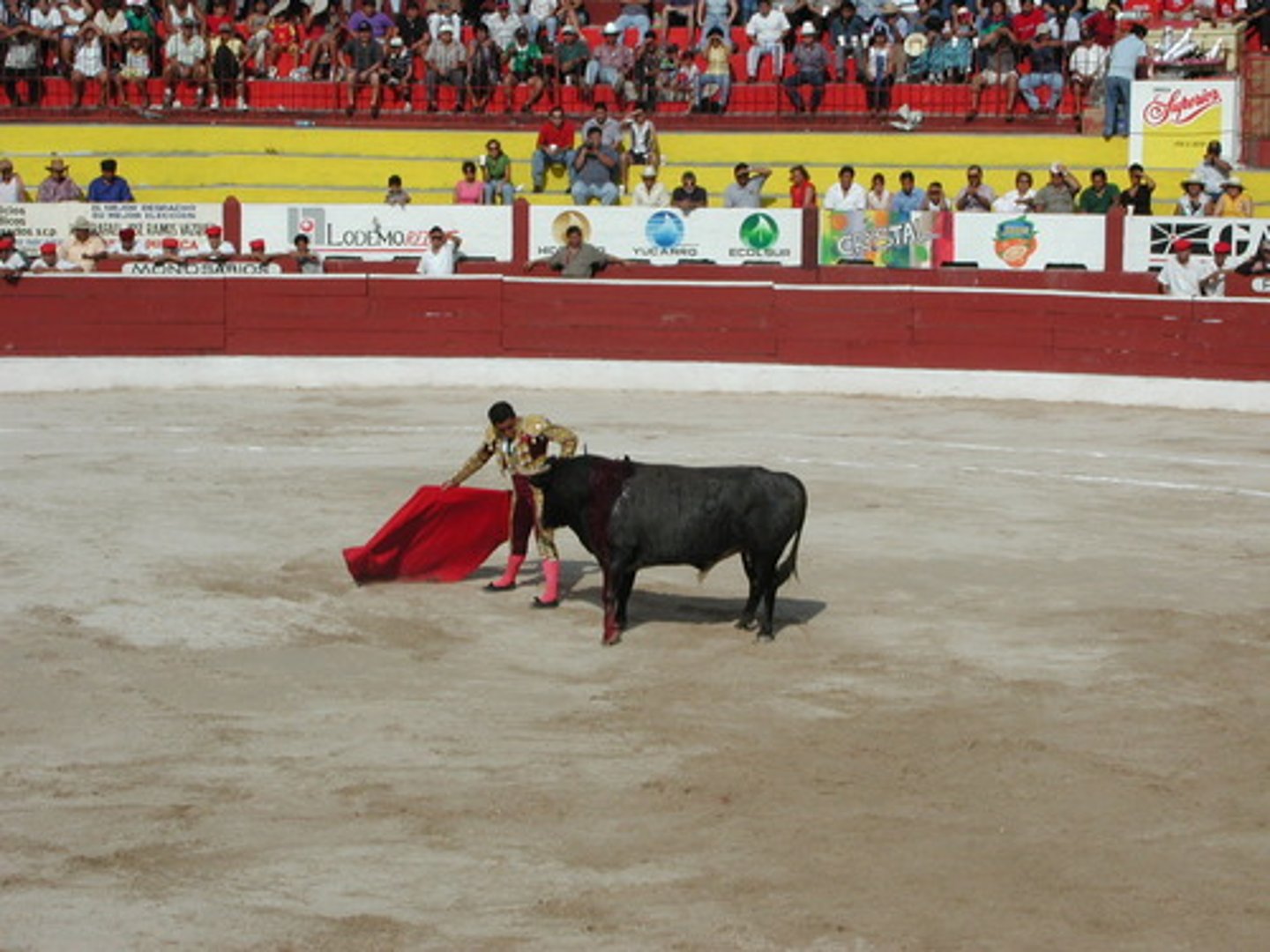 <p>Madrid's biggest bullring</p>