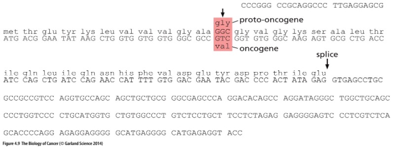 <p>What does this picture show?</p>