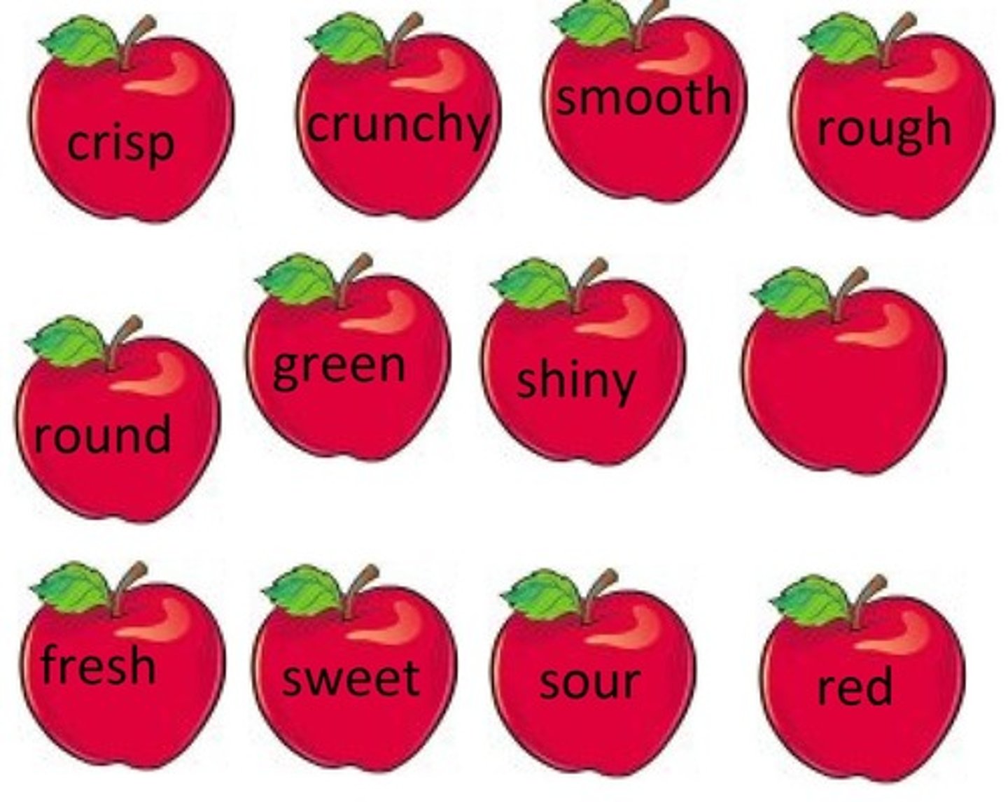 <p>Modify/describe nouns e.g. the dog was HAIRY</p>