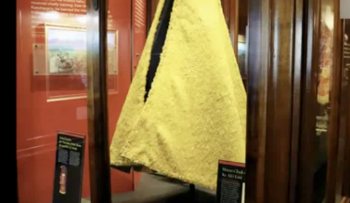 <p>Feathered coat in hawaii</p>