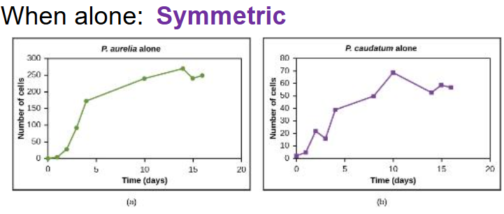 <p>When two species that occupy the same niche live separately, they show a very similar pattern of growth</p>