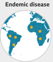 <p>Refers to a disease regularly occurring in people within an area or community</p>