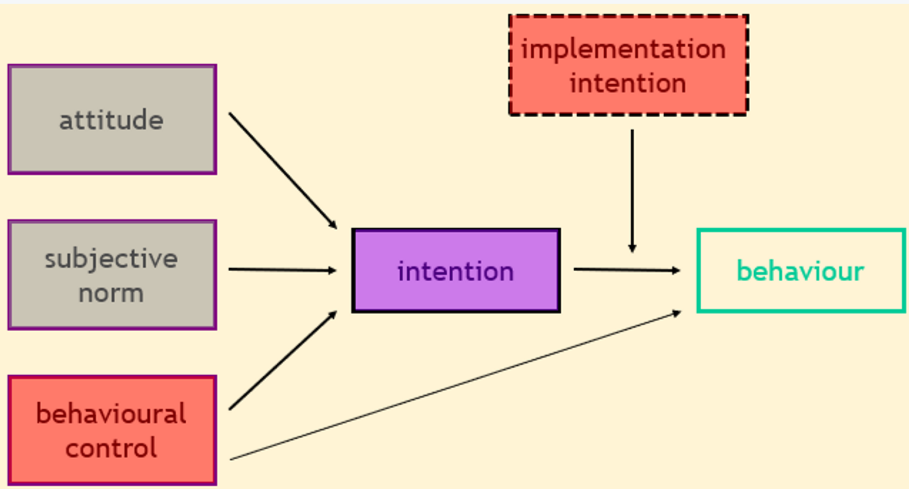 <ul><li><p><span>On the basis that our behaviour is based on what we intend to do, our motivations</span></p></li><li><p><span>Implementation intention is deciding how you will make sure that you will do a certain behaviour</span></p></li><li><p><span>Behavioural control is whether or not we think we can change this behaviour</span></p></li></ul><p></p>