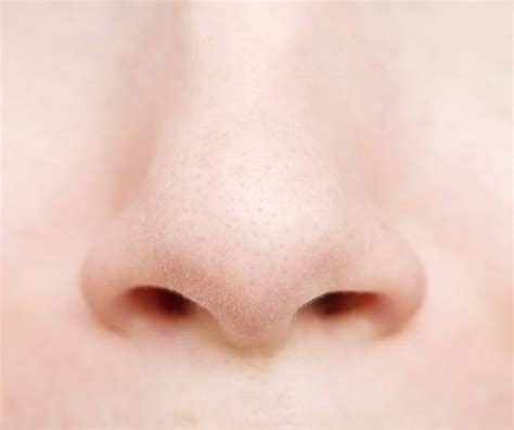 <p><strong>NOSE</strong></p>