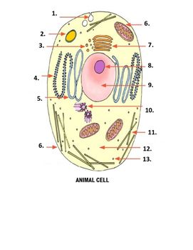 <p>What is number 9 on the image?</p>