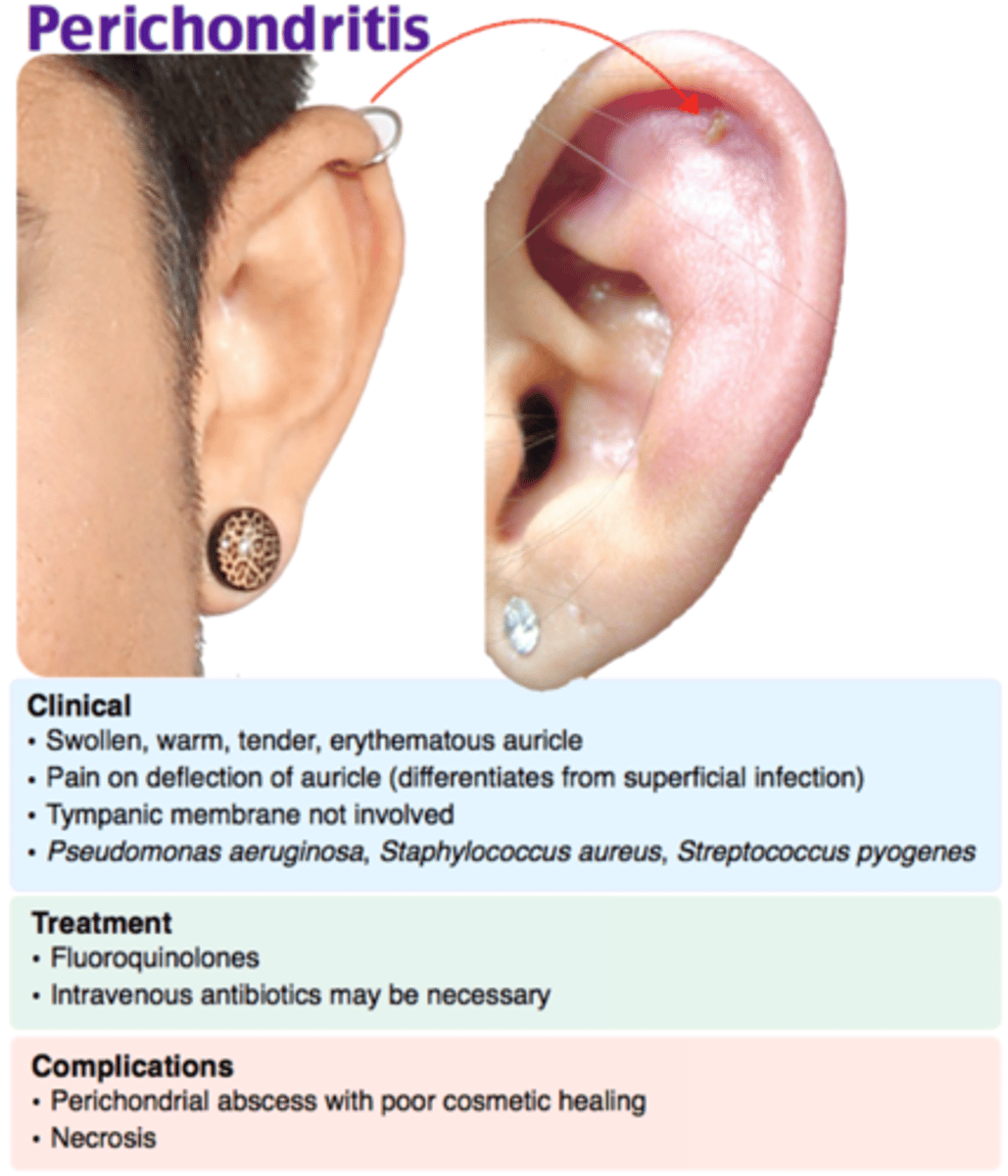 <p>Perichondritis</p><p>Otitis externa</p><p>Furuncle</p>