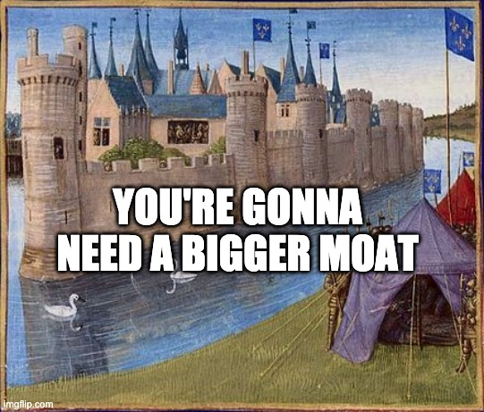 <p>moat</p>