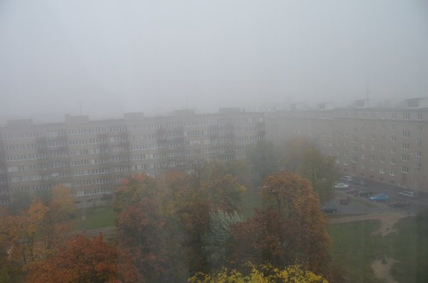 <p>(adj) có sương mù</p>