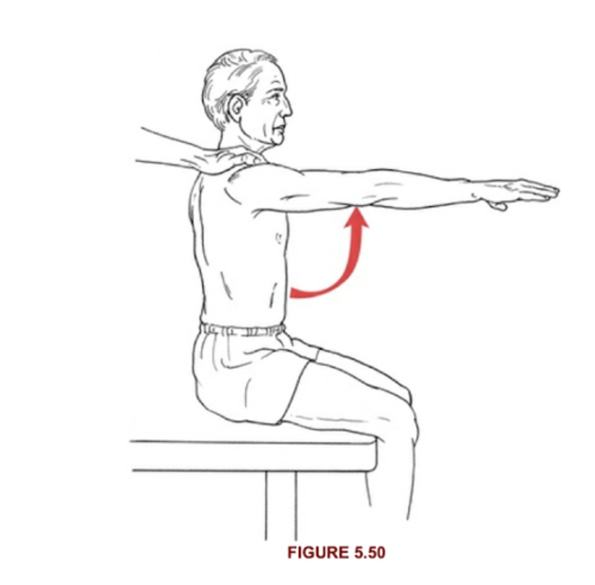 <p>Flex shoulder to 90 without resistance</p>