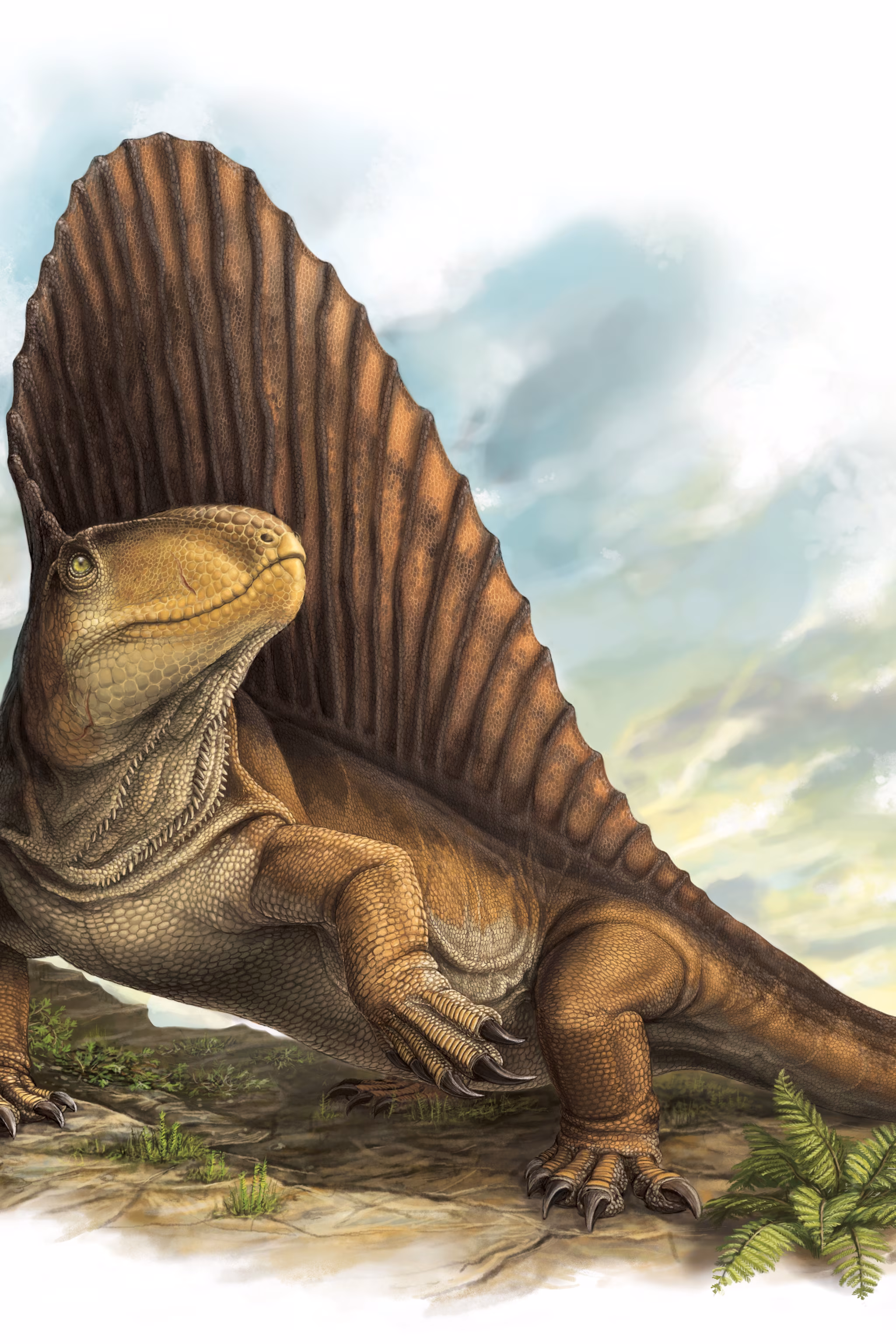 <p>Late Paleozoic organism</p>