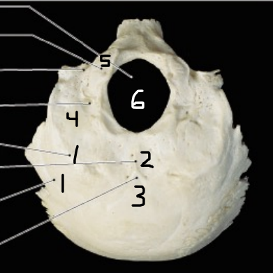 <p>What is 2</p>