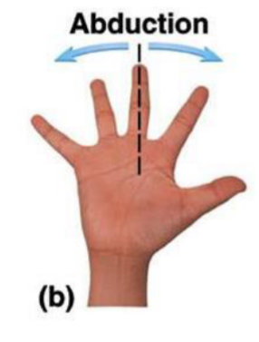<p>Moving body away from the midline</p><p><em>If youre abducted youre away from where you were</em></p>