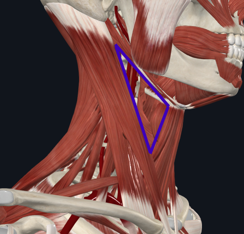 <p>What does this triangle refer to</p>