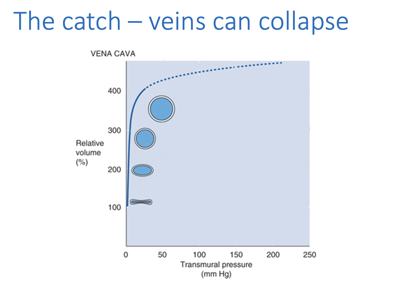 <ul><li><p>because if Pv becomes, negative</p></li><li><p>venous collapse limits venous return</p></li></ul><p>→ cardiac output</p><p></p><p><em>veins are floppy walled like a balloon</em></p>