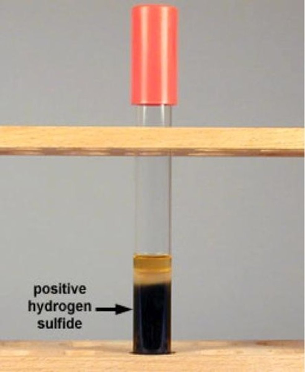 <p>Ferric Sulfide</p>