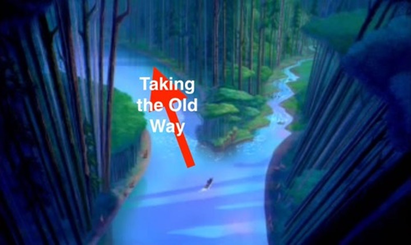 <p>a tendency to approach a problem in a particular way that has been successful in the past</p>