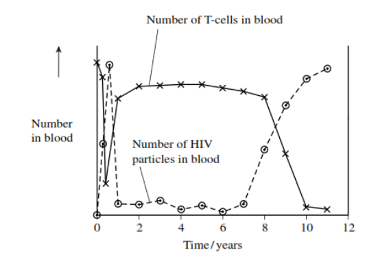<p>The graph shows changes in the number of T-cells and HIV particles in the blood of a person following infection.</p><p>This person developed a large number of infections about 9 years after he first became infected with HIV. Using information from the graph, explain why.(4) </p>