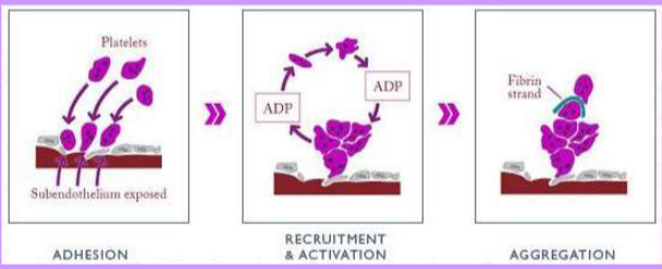 <p>What does this picture depict?</p>