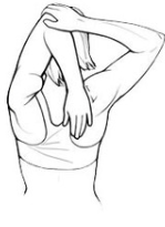 <p>stretch </p>