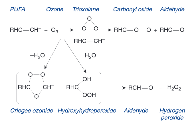<p>Fill in the blank…</p><p>The surface fluid lining the respiratory tract and cell membranes the underlie the lining fluid contain a significant quantity of ( ), either free or as part of the lipoprotein structures of the cell. These react with ozone to form toxic intermediates.</p>