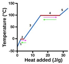 <p>melting</p>