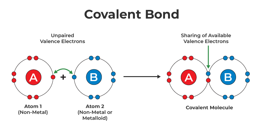 Covalent bonds **share** their electrons with each atom – they’re not trying to steal electrons because there isn’t enough of a difference in electronegativity to allow them to take the electrons away from the other so instead they line themselves up so the orbitals overlap and each get the electron that they need