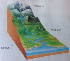 <p>A line representing the river from its source (where it starts) to its mouth (where it meets the sea). It shows how the river changes over its course</p>
