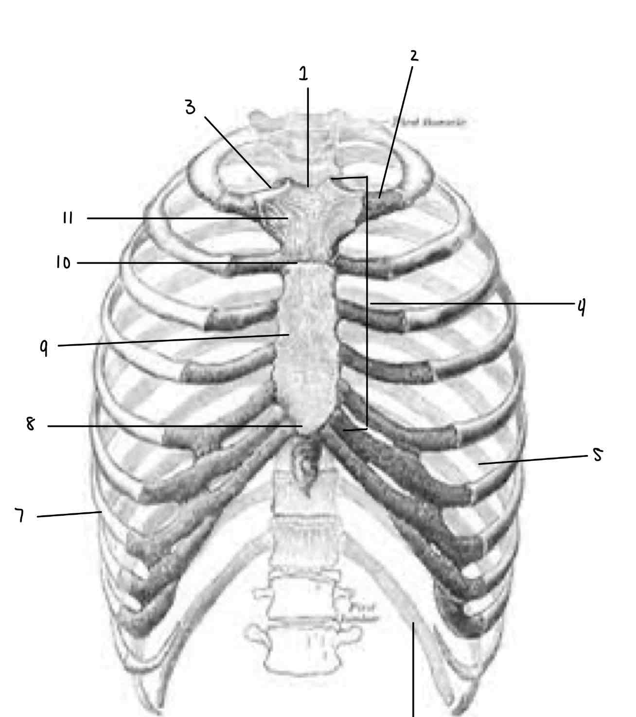 <p>what is 6 an example of</p>