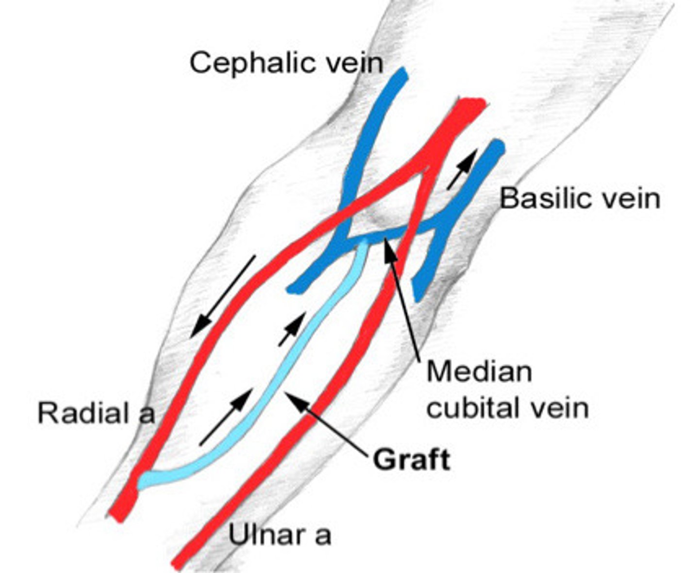 <p>What does this image show</p>