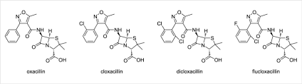<p>Which penicillins are these and what class </p>