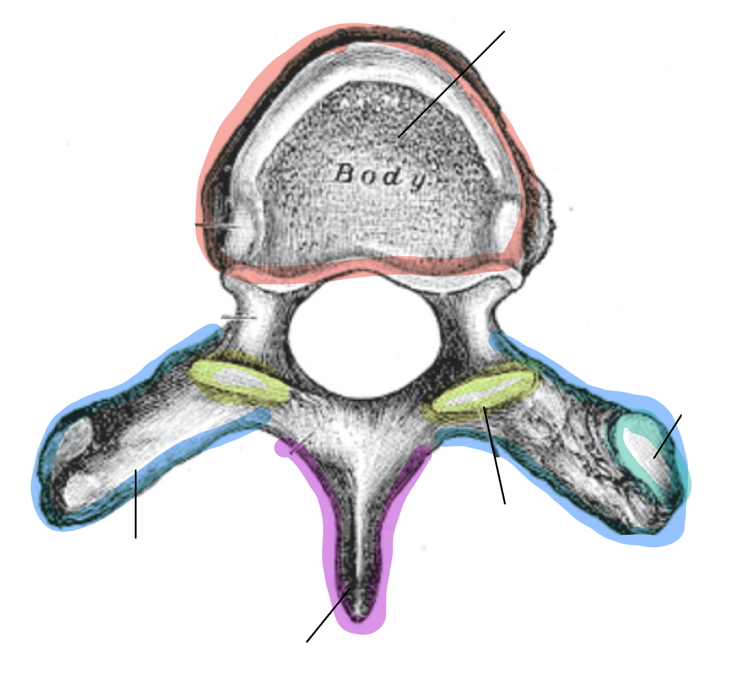 <p>What is the teal</p>
