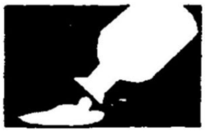 <p>Chemical Safety</p>