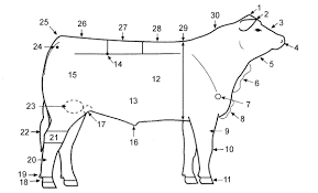 <p>Which Beef Cow part is 18?</p>