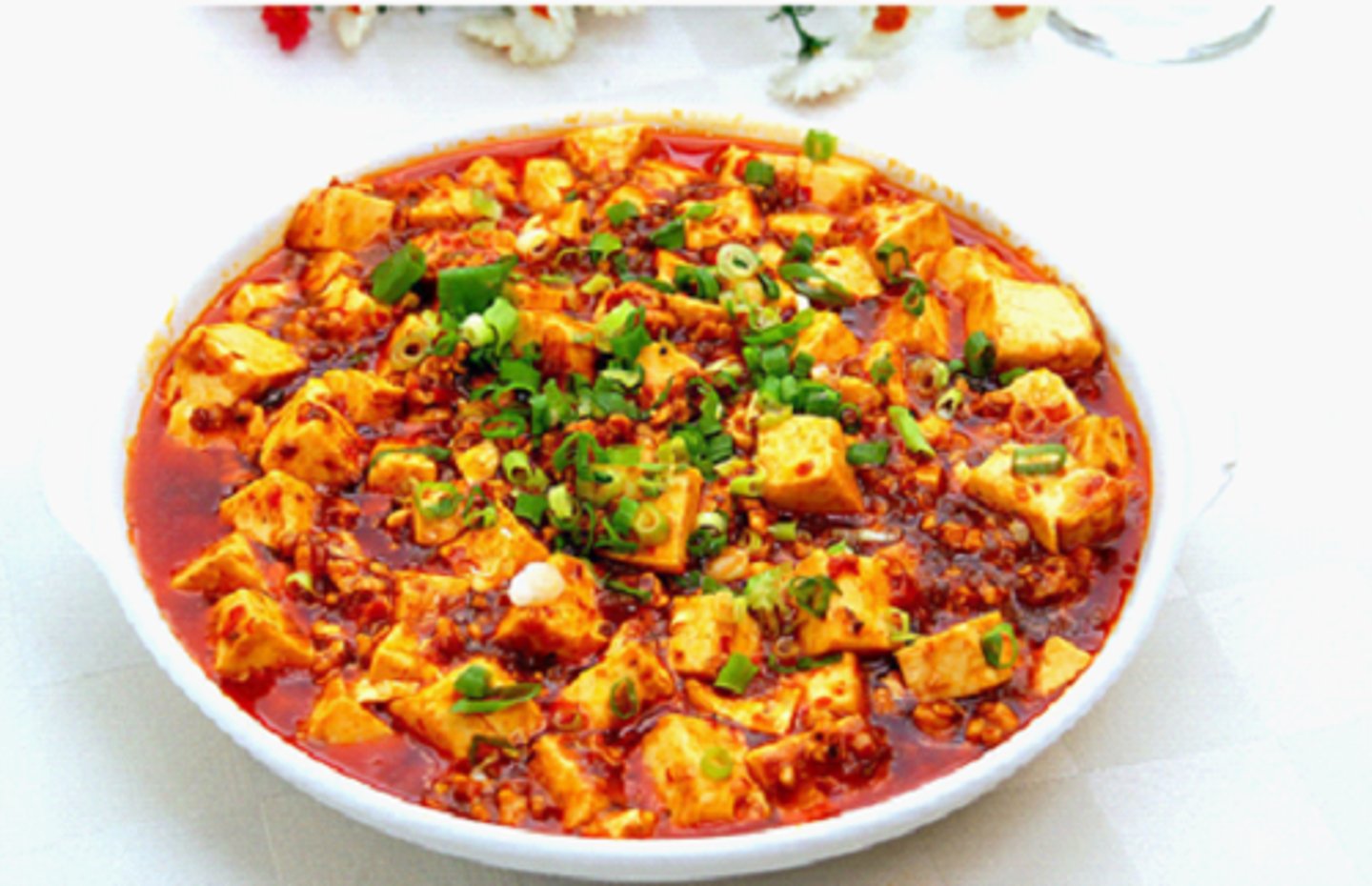 <p>mápó-dòufǔ - ma potofu; stir-fried beancurd in chili sauce</p>