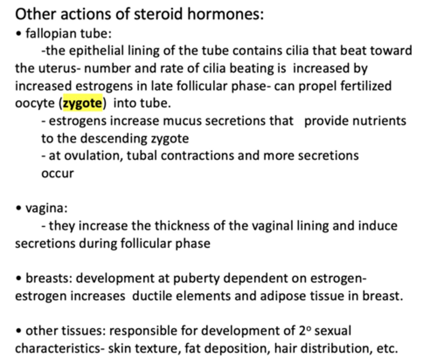 <p>Fallopian tube</p>