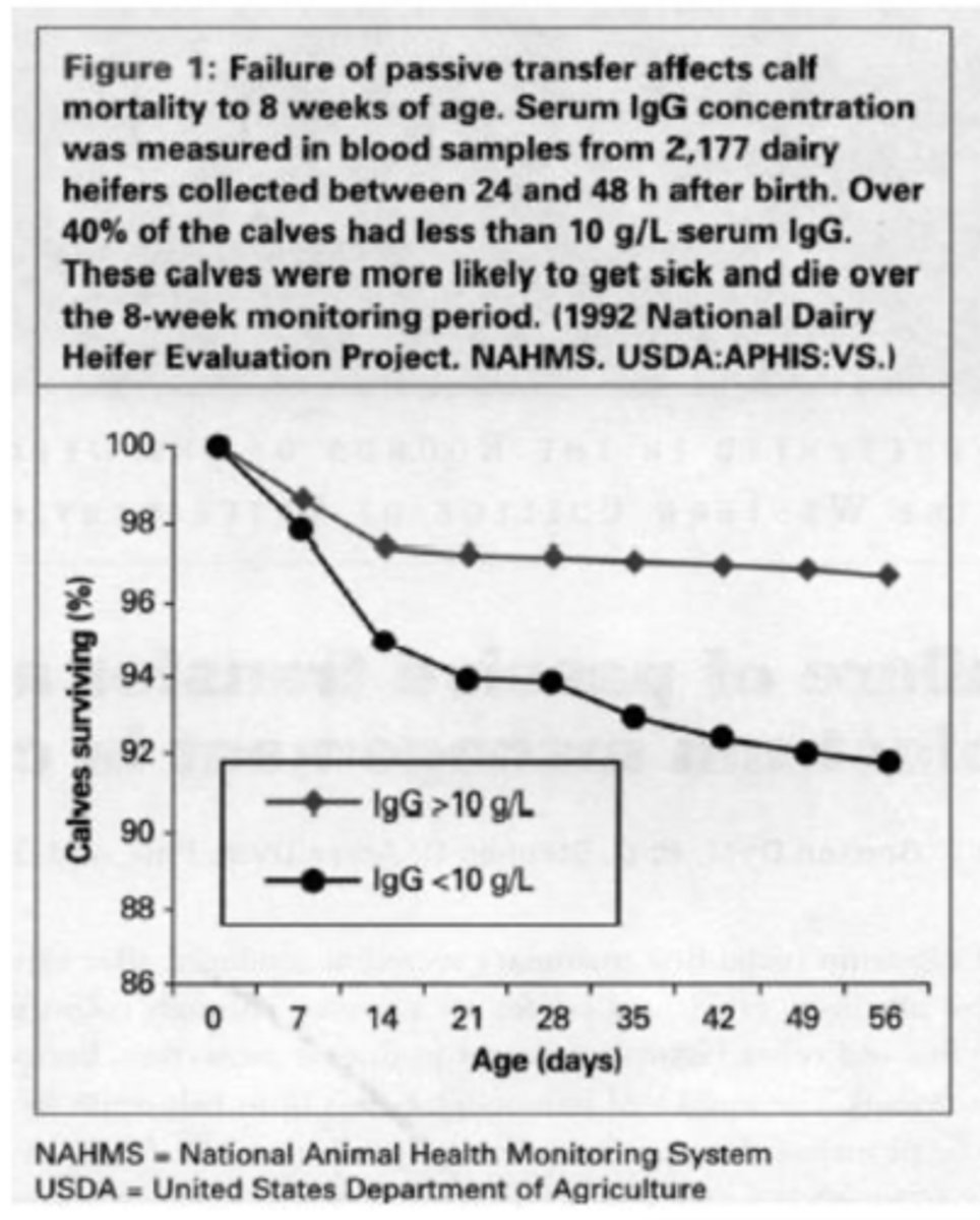 <p>what are the characteristics of failure of passive transfer</p>