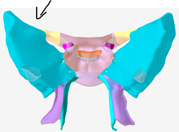 <p>Hoe heet het onderdeel van dit bot?</p>