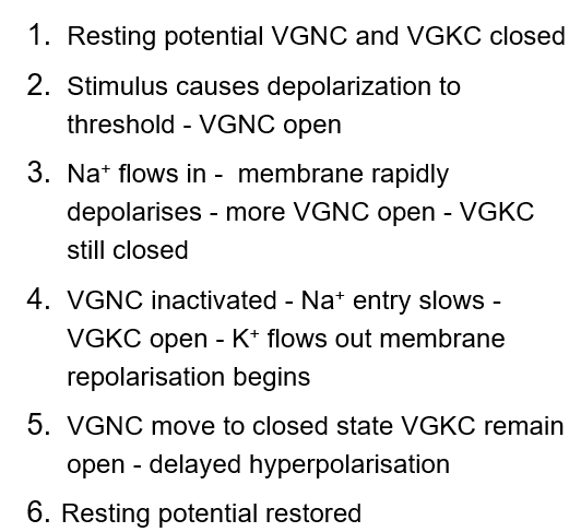 knowt flashcard image