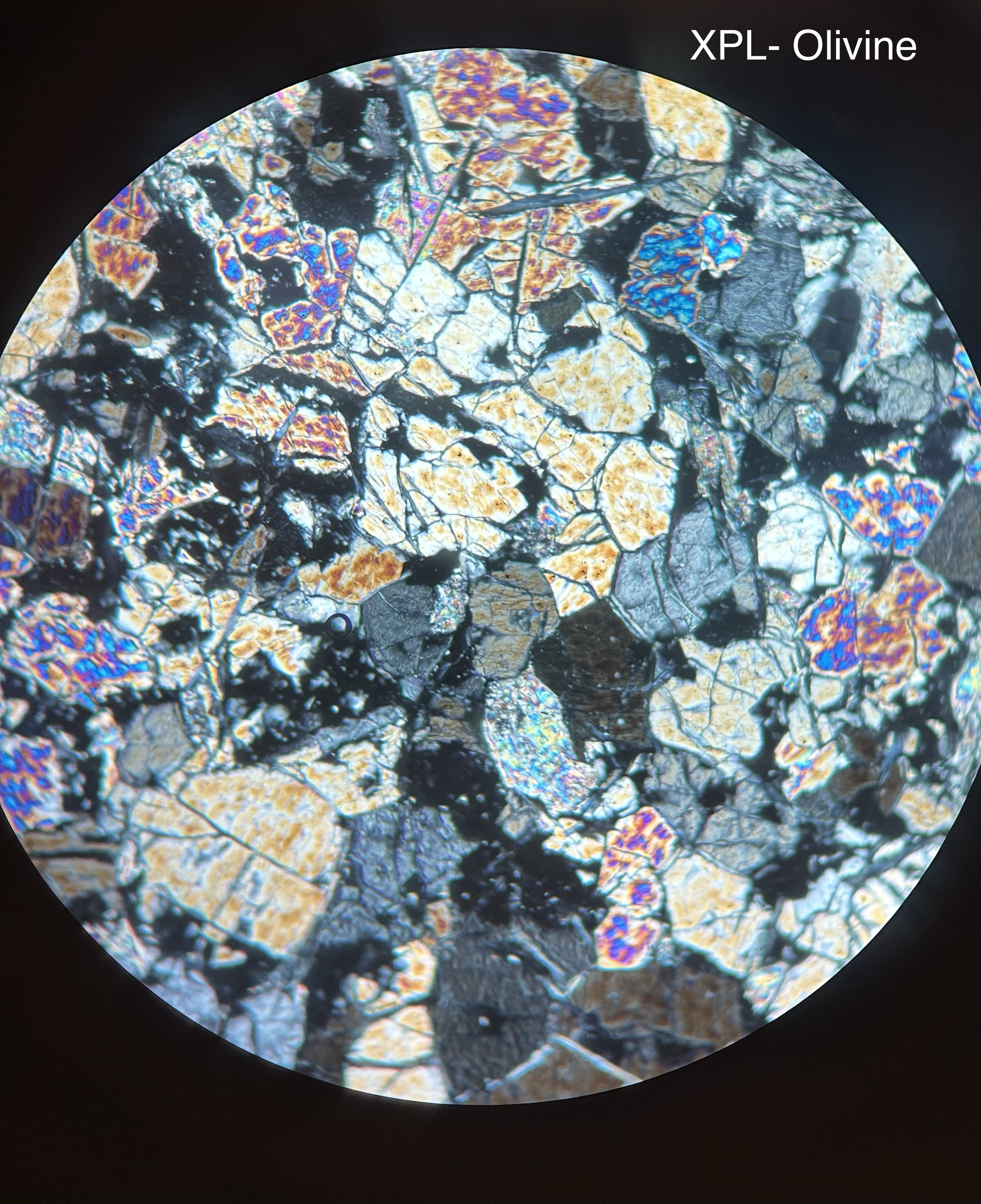 <p>PPL- clear, no cleavage, high relief, round crystals</p><p>XPL-high birefringence </p>