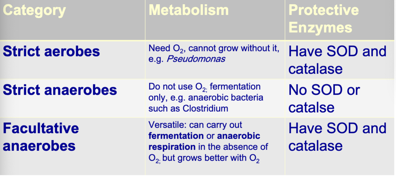 <p><span style="font-family: "Times New Roman", serif">doesn’t have membrane chains &amp; don’t use anaerobic/aerobic respiration, but </span><span><strong>ferment</strong> </span><span style="font-family: "Times New Roman", serif">and must live in O2 free environments; don’t have enzyme to neutralize</span></p>