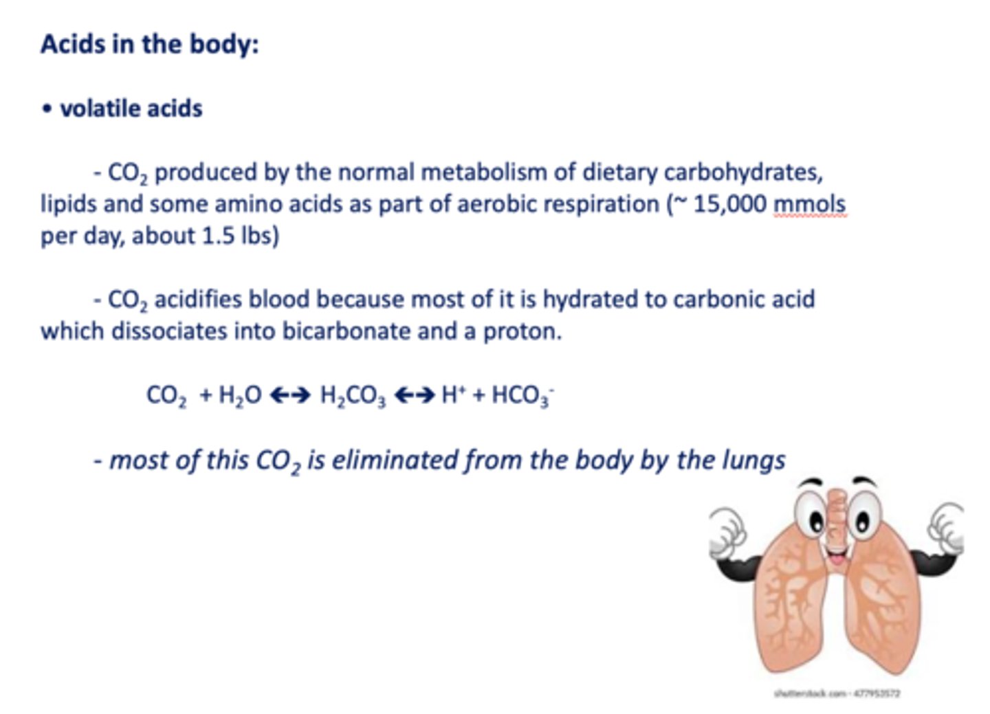 <p>CO2</p>