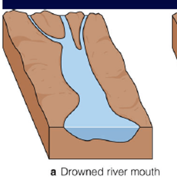 <p>former river valleys, now flooded with seawater<br>As glaciers receded and melted, sea levels rose and inundated low-lying river valleys.</p>
