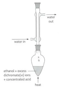 <p>Identify this image</p>