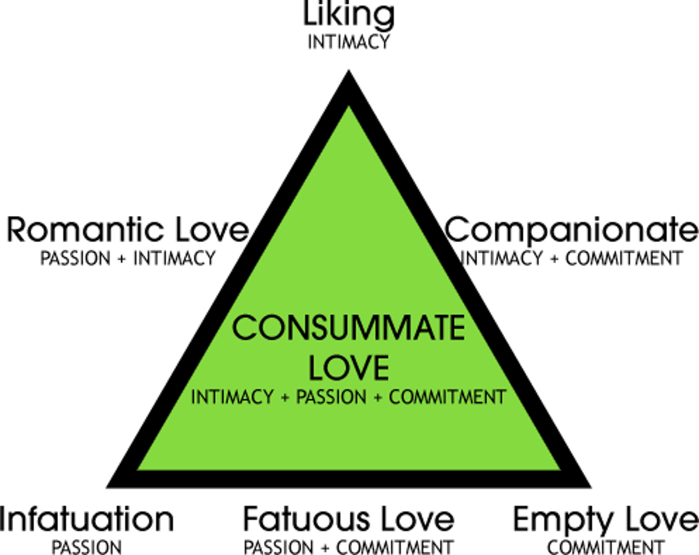<p>A theory that sees love as having three elements: intimacy, passion, and commitment</p>
