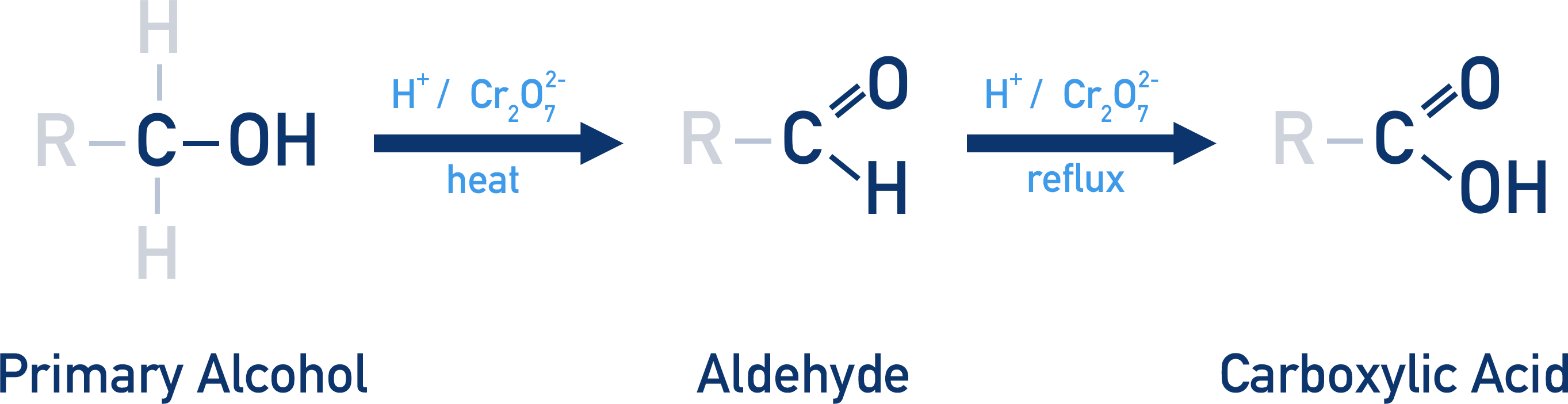 <p>Primary Alcohol → Aldehyde → Carboxylic acid</p><p></p><p>note:<strong> You don’t need to know the intermediate step!</strong></p>